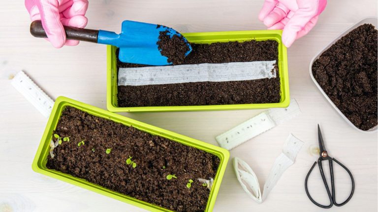Si vous voulez une plantation uniforme, vous devez essayer cette astuce facile avec du ruban de semences DIY Si vous voulez une plantation uniforme, vous devez essayer cette astuce facile avec du ruban de semences DIY