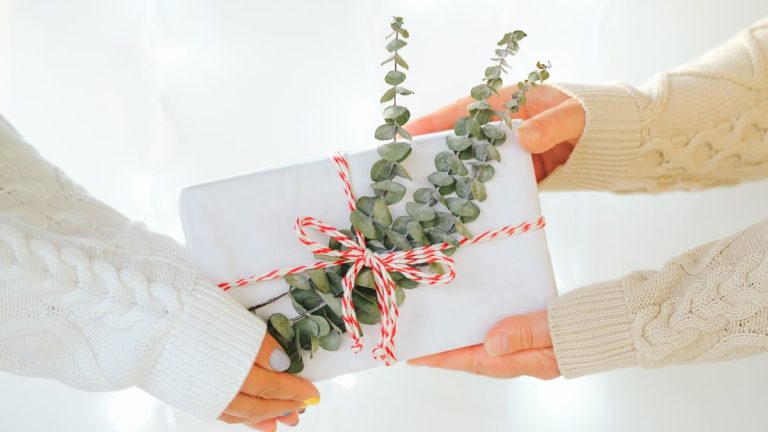 Le meilleur feuillage parfumé pour les décorations festives – 7 conifères au parfum enchanteur qui incarnent Noël Le meilleur feuillage parfumé pour les décorations festives – 7 conifères au parfum enchanteur qui incarnent Noël