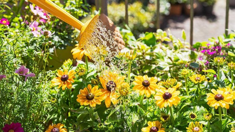 Qu’est-ce que le jardinage de guérilla ? Zoom sur ce mouvement tendance qui transforme les paysages urbains Qu’est-ce que le jardinage de guérilla ? Zoom sur ce mouvement tendance qui transforme les paysages urbains