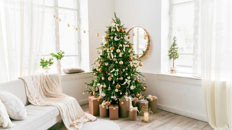6 vraies erreurs de sapin de Noël que les experts veulent que vous évitiez cette année – pour que votre sapin reste à son meilleur plus longtemps 6 vraies erreurs de sapin de Noël que les experts veulent que vous évitiez cette année – pour que votre sapin reste à son meilleur plus longtemps