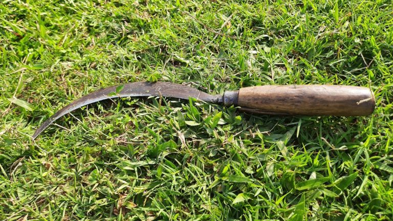 Je suis un jardinier professionnel et une faucille d’élagage est un outil révolutionnaire pour couper les plantes vivaces – et j’attribue cinq étoiles à mes cinq étoiles préférées. Je suis un jardinier professionnel et une faucille d'élagage est un outil révolutionnaire pour couper les plantes vivaces – et j'attribue cinq étoiles à mes cinq étoiles préférées.