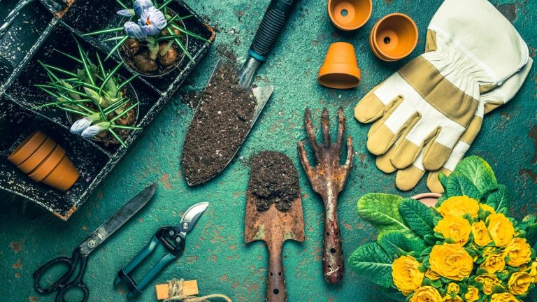 J'ai acheté la ceinture à outils Tourbon parce qu'elle est belle, mais croyez-moi, c'est l'accessoire de jardinage le plus confortable et le plus utile que j'ai jamais utilisé.