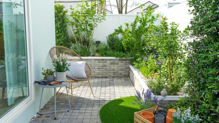 7 plantes à ne jamais cultiver dans un petit jardin – pour éviter que des plantes grimpantes vigoureuses se disputent l’espace 7 plantes à ne jamais cultiver dans un petit jardin – pour éviter que des plantes grimpantes vigoureuses se disputent l'espace