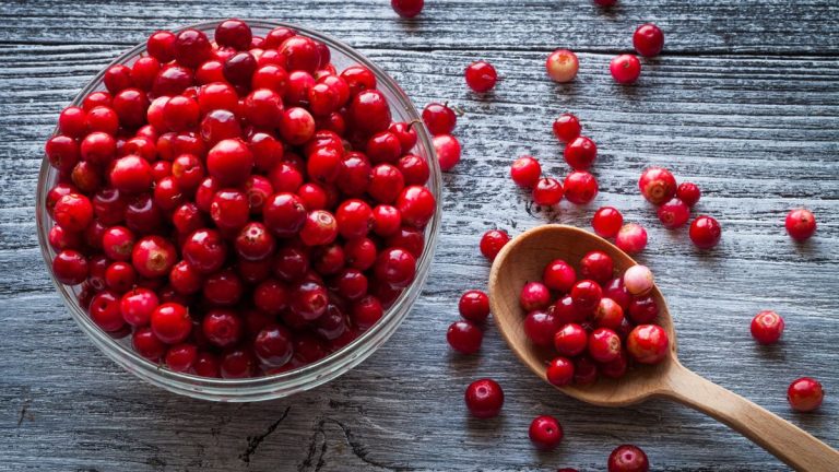 Quand et comment récolter les canneberges – et obtenir des fruits mûrs pour vos assiettes des Fêtes Quand et comment récolter les canneberges – et obtenir des fruits mûrs pour vos assiettes des Fêtes