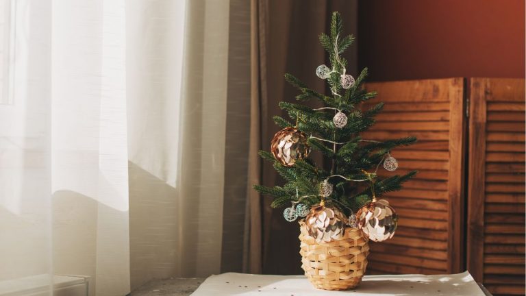 Pas de place pour un sapin de Noël de 7 pieds ? Ces charmants petits arbres sont la solution parfaite pour gagner de la place Pas de place pour un sapin de Noël de 7 pieds ? Ces charmants petits arbres sont la solution parfaite pour gagner de la place