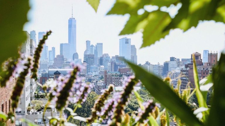 Sanctuaires dans la ville – Un concepteur de jardins new-yorkais révèle comment transformer les jardins urbains sur les toits en oasis vertes Sanctuaires dans la ville – Un concepteur de jardins new-yorkais révèle comment transformer les jardins urbains sur les toits en oasis vertes