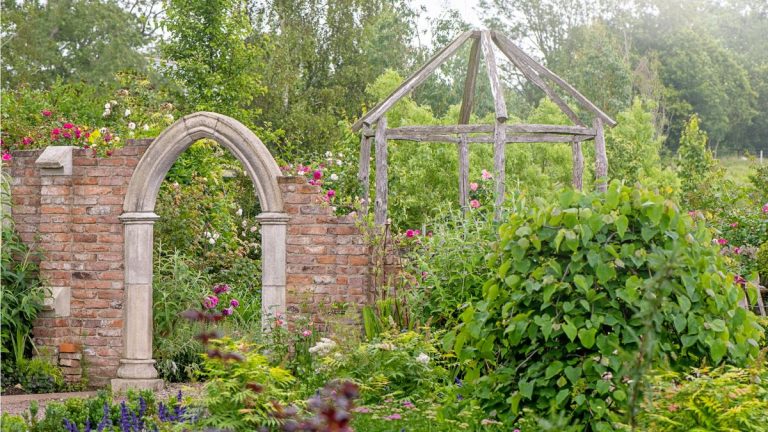 Les arrière-cours « habitées » devraient prendre le relais en 2025 – mais ce look ne se limite pas à simplement confier votre cour à la nature Les arrière-cours « habitées » devraient prendre le relais en 2025 – mais ce look ne se limite pas à simplement confier votre cour à la nature