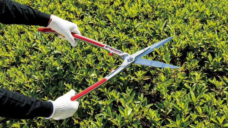 Meilleurs cisailles à haies – un testeur de produits de jardin révèle les seules cisailles que vous devriez acheter Meilleurs cisailles à haies – un testeur de produits de jardin révèle les seules cisailles que vous devriez acheter