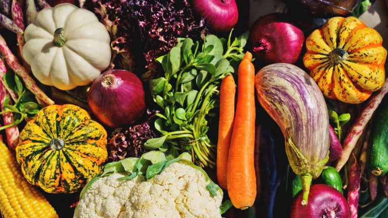 Comment faire pousser des légumes à partir de boutures – 10 cultures délicieuses et conseils d’experts pour obtenir des plantes gratuites Comment faire pousser des légumes à partir de boutures – 10 cultures délicieuses et conseils d’experts pour obtenir des plantes gratuites
