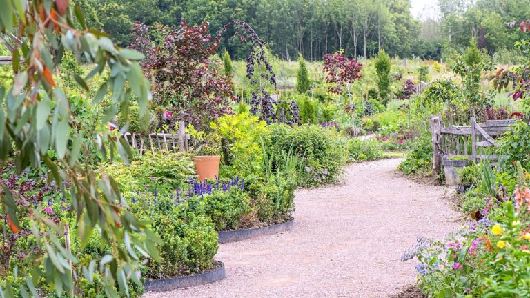 6 choses qui donnent à un jardin un aspect bon marché, disent les concepteurs de jardins – et comment éviter de commettre ces erreurs pour un terrain élégant en 2025