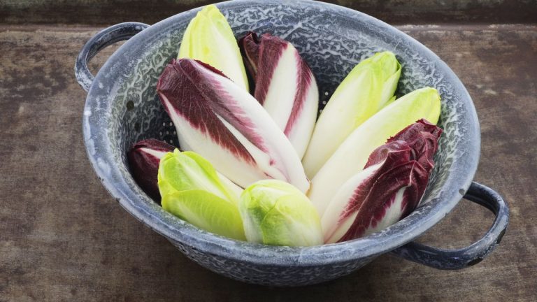 Comment faire pousser de la chicorée pour obtenir des légumes-feuilles acidulés pour pimenter les plats de saison froide Comment faire pousser de la chicorée pour obtenir des légumes-feuilles acidulés pour pimenter les plats de saison froide