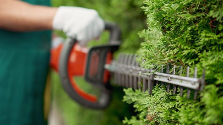Comment tailler les haies en 6 étapes simples – selon les recommandations d'un jardinier professionnel