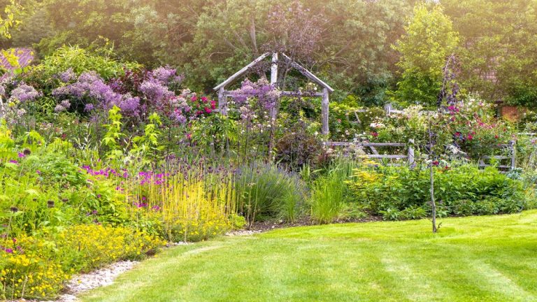 Idées faciles d’aménagement paysager d’arrière-cour – 7 façons simples de remodeler votre terrain Idées faciles d’aménagement paysager d’arrière-cour – 7 façons simples de remodeler votre terrain