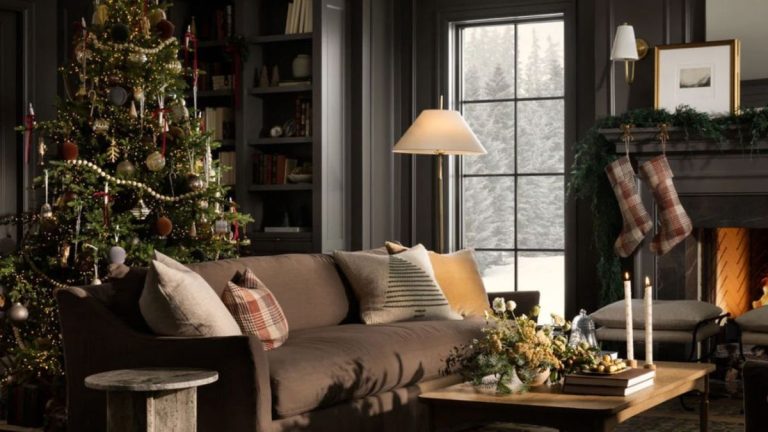 Pourquoi mon sapin de Noël ne prend-il pas l’eau ? 3 causes courantes et solutions pour un arbre hydraté et heureux Pourquoi mon sapin de Noël ne prend-il pas l'eau ? 3 causes courantes et solutions pour un arbre hydraté et heureux