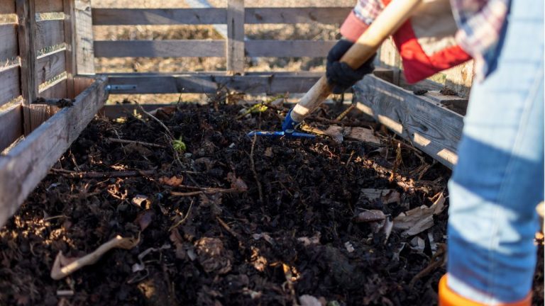 Astuces de compostage hivernal – 5 raccourcis faciles pour créer de la matière organique à temps pour le printemps Astuces de compostage hivernal – 5 raccourcis faciles pour créer de la matière organique à temps pour le printemps