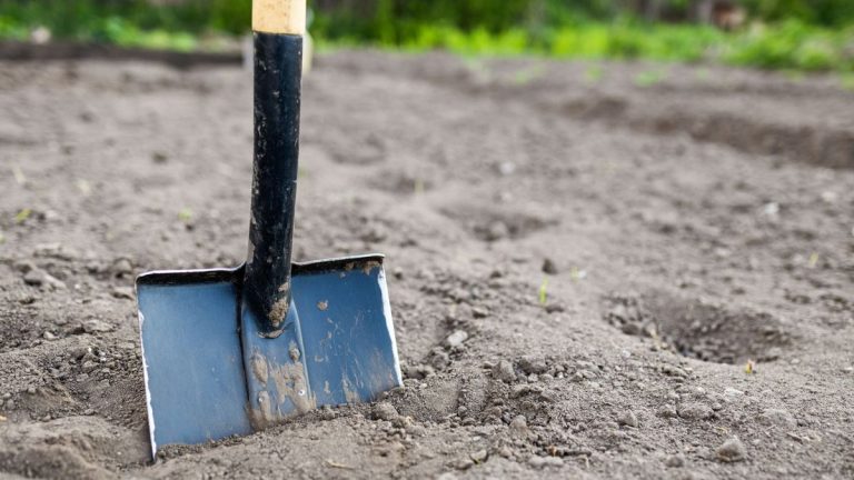 Comment affûter une bêche – 5 étapes rapides pour creuser mieux et plus rapidement Comment affûter une bêche – 5 étapes rapides pour creuser mieux et plus rapidement