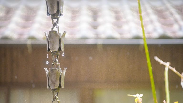 Meilleurs endroits pour une chaîne de pluie – les experts révèlent 4 endroits parfaits, et à un certain endroit, vous ne devriez jamais en accrocher une Meilleurs endroits pour une chaîne de pluie – les experts révèlent 4 endroits parfaits, et à un certain endroit, vous ne devriez jamais en accrocher une