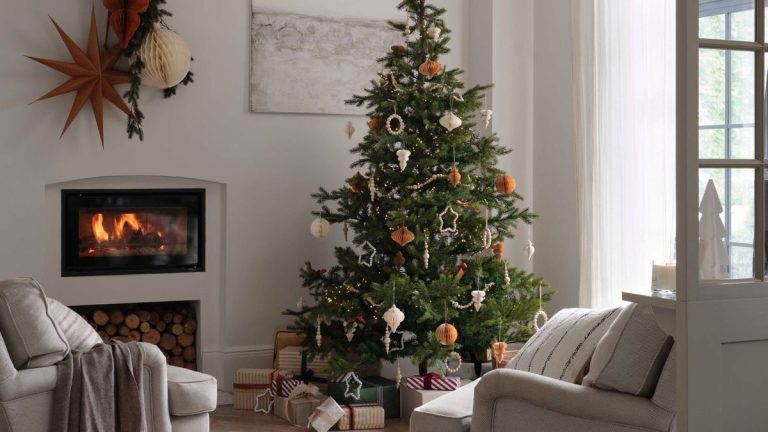 Pourquoi mon sapin de Noël brunit-il ? 4 problèmes courants et solutions pour un arbre vert et prospère Pourquoi mon sapin de Noël brunit-il ? 4 problèmes courants et solutions pour un arbre vert et prospère