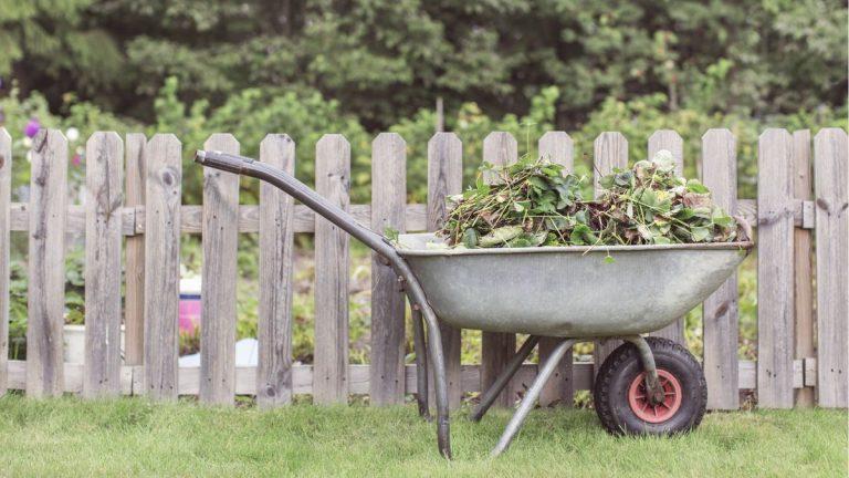 Utilisations de la brouette – 7 façons d'utiliser ce précieux outil de jardinage dans votre jardin