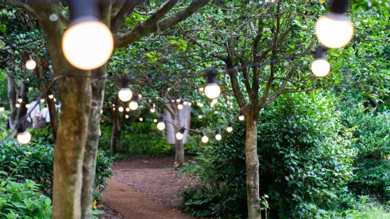 Peut-on éclairer une allée de jardin avec des lampes solaires ? Les experts en électricité révèlent 3 raisons pour lesquelles c’est une mauvaise idée – et que faire à la place Peut-on éclairer une allée de jardin avec des lampes solaires ? Les experts en électricité révèlent 3 raisons pour lesquelles c'est une mauvaise idée – et que faire à la place