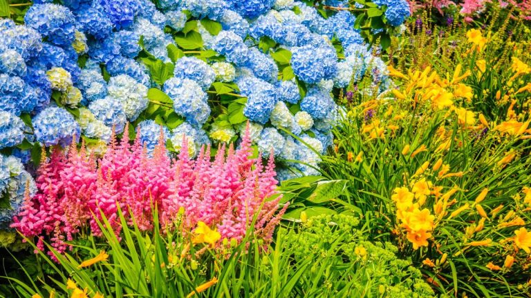 7 plantes vivaces à planter en janvier – pourquoi ce mois-ci est le moment idéal pour ajouter des plantes à racines nues aux bordures de fleurs