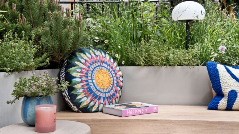 Meilleures plantes pour un jardin de cour – 8 favoris à cultiver pour un impact maximal dans un petit espace