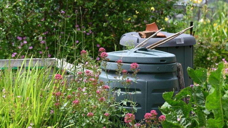 Comment acheter un bac à compost – conseils d’experts pour vous aider à choisir un bac en plastique, en bois ou en verre pour vos déchets de jardin Comment acheter un bac à compost – conseils d'experts pour vous aider à choisir un bac en plastique, en bois ou en verre pour vos déchets de jardin