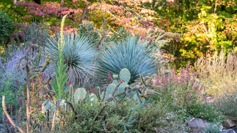 Ces 9 tendances de jardinage seront énormes en 2025, selon la principale société horticole américaine