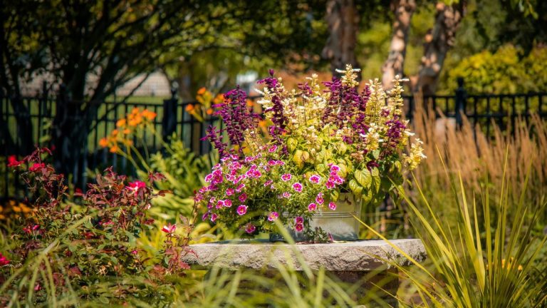 Du paillage à la plantation de racines nues, il reste encore des travaux de jardinage essentiels à accomplir en janvier – voici notre top 8 Du paillage à la plantation de racines nues, il reste encore des travaux de jardinage essentiels à accomplir en janvier – voici notre top 8