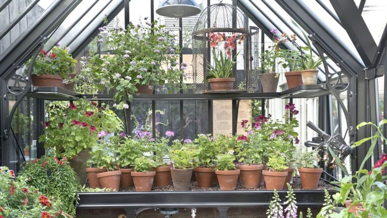 7 résolutions de jardinage du Nouvel An auxquelles nos rédacteurs s’engagent en 2025 7 résolutions de jardinage du Nouvel An auxquelles nos rédacteurs s'engagent en 2025