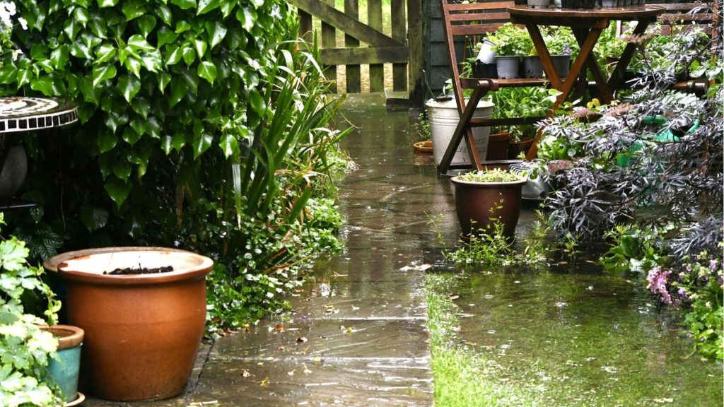 Comment protéger les plantes d’une tempête – 5 actions clés à prendre avant les intempéries pour assurer leur sécurité Comment protéger les plantes d’une tempête – 5 actions clés à prendre avant les intempéries pour assurer leur sécurité