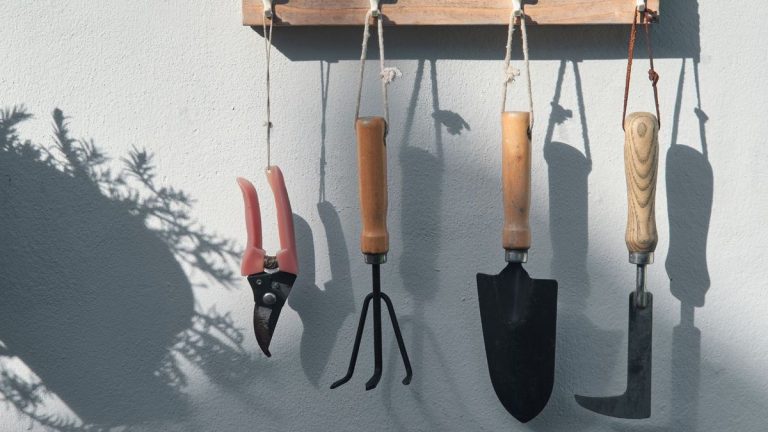 Comment préparer les outils de jardinage pour le printemps – les experts en jardinage révèlent 6 étapes clés avant la période la plus chargée de l'année