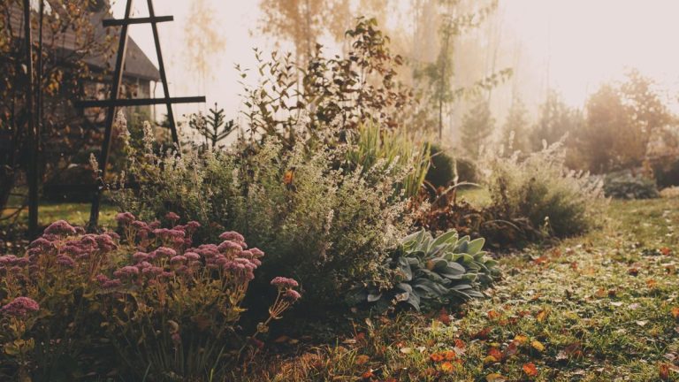 Les experts en lutte antiparasitaire vous avertissent de faire attention à ces 5 parasites des jardins d'hiver – ainsi que des conseils pour les empêcher de détruire votre jardin avant le printemps.