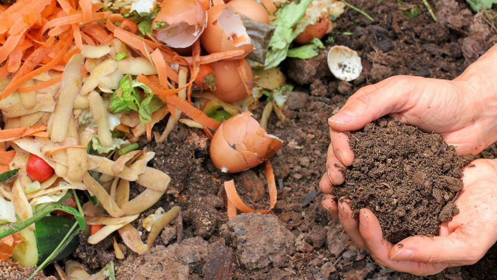 10 choses à ne jamais ajouter à votre bac à compost – et comment s’en débarrasser à la place