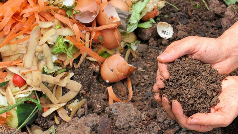 10 choses à ne jamais ajouter à votre bac à compost – et comment s’en débarrasser à la place 10 choses à ne jamais ajouter à votre bac à compost – et comment s’en débarrasser à la place