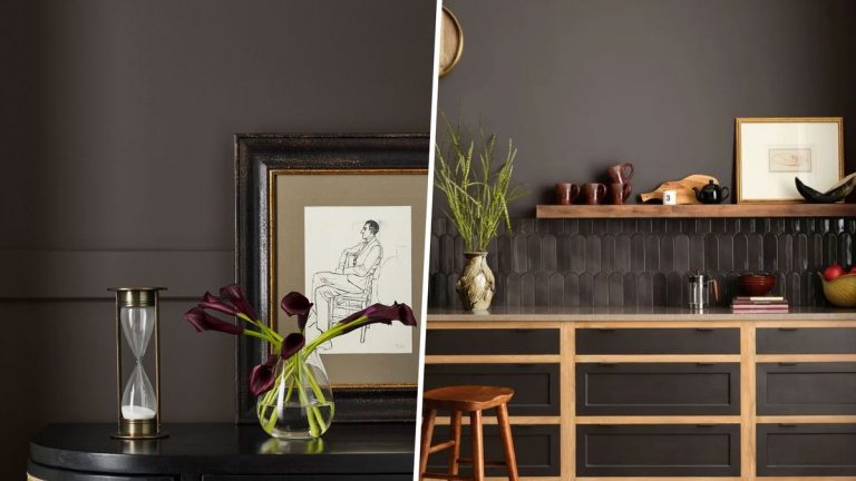Sealskin de Sherwin-Williams est une peinture marron foncé tendance – une teinte élégante et chic pour adopter la tendance des couleurs maussades