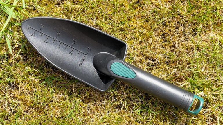 Les outils de jardin en plastique sont-ils toxiques? Les experts horticoles révèlent pourquoi vous devriez retirer le plastique noir de votre cour Les outils de jardin en plastique sont-ils toxiques? Les experts horticoles révèlent pourquoi vous devriez retirer le plastique noir de votre cour