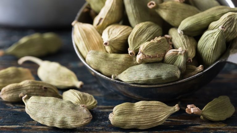 Comment développer la cardamome – Les experts horticoles partagent leurs secrets pour cultiver cette épice culinaire souhaitable Comment développer la cardamome - Les experts horticoles partagent leurs secrets pour cultiver cette épice culinaire souhaitable
