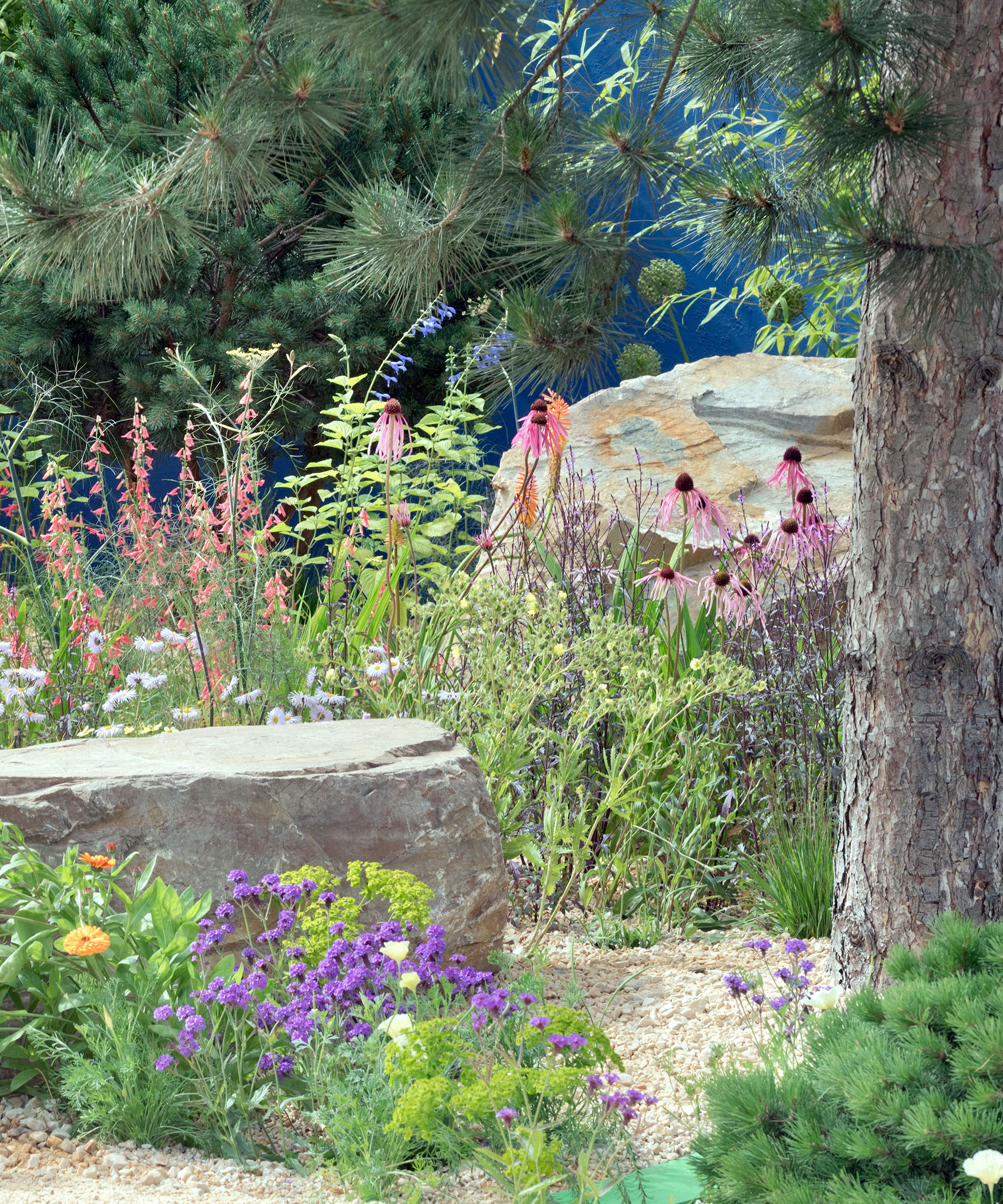 gros rochers dans un jardin de gravier