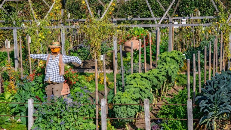 Comment réutiliser les vieux vêtements dans un jardin - les éco-experts révèlent 7 façons de recycler un tissu usé qui ne fait pas seulement un épouvantail