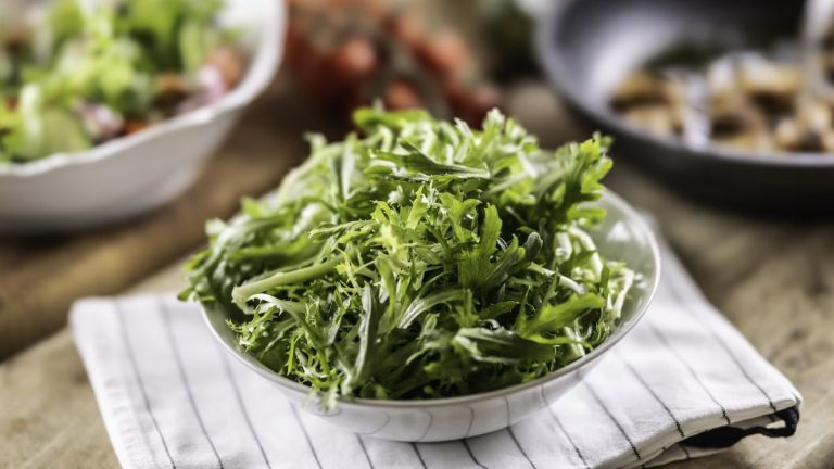 Comment cultiver Frisee à partir de graines - pour les feuilles poivrées rapides pour animer vos salades