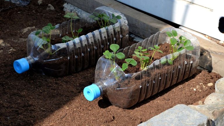 Comment réutiliser les bouteilles en plastique dans un jardin – 7 projets de bricolage rapides qui fonctionnent réellement Comment réutiliser les bouteilles en plastique dans un jardin - 7 projets de bricolage rapides qui fonctionnent réellement