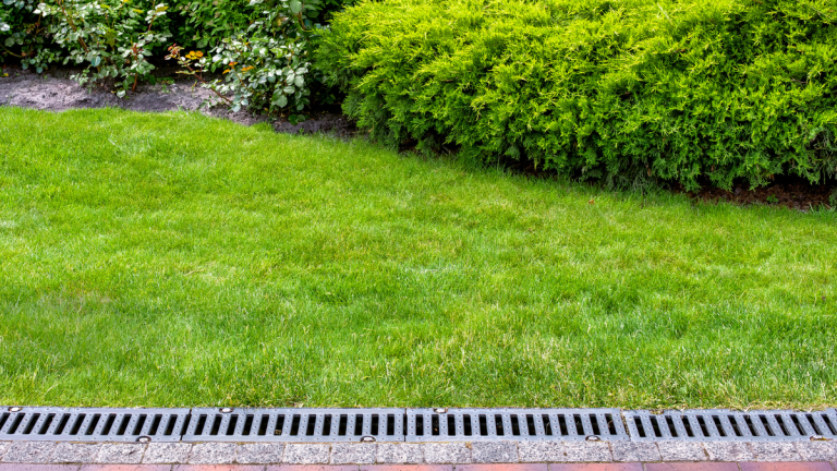 Drains français ou drains de tranchée : les experts expliquent la différence et découvrent celui qui convient le mieux à votre cour.