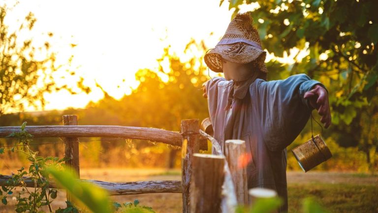 Comment construire un épouvantail – le travail parfait pour février pour protéger les jeunes semis au printemps Comment construire un épouvantail - le travail parfait pour février pour protéger les jeunes semis au printemps