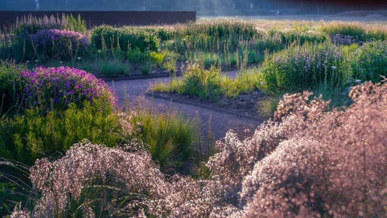 Designer de haute ligne Piet Oudolf pour apporter une plantation naturaliste de marque au «cœur» du musée suédois d’art et de design Designer de haute ligne Piet Oudolf pour apporter une plantation naturaliste de marque au «cœur» du musée suédois d'art et de design