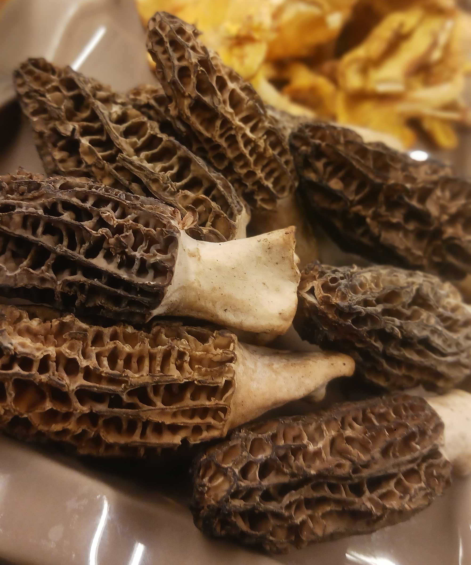 Champignons more