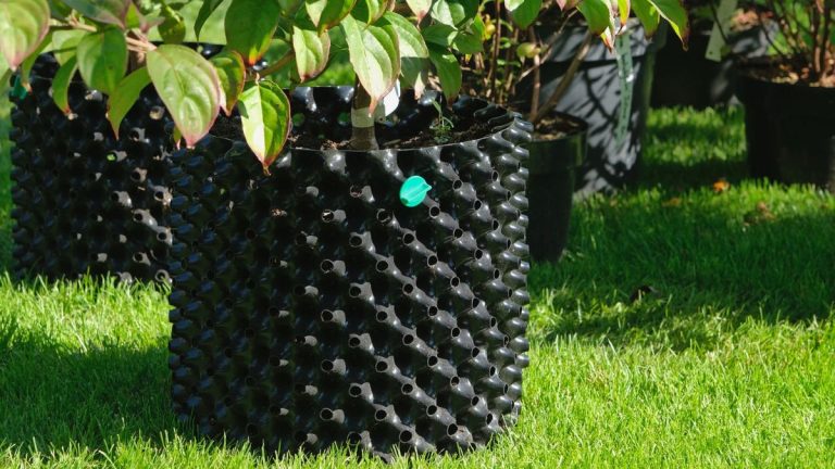 Les pots d’air fonctionnent-ils réellement? Les experts du jardinage révèlent si la «taille à l’air» à la hauteur Les pots d'air fonctionnent-ils réellement? Les experts du jardinage révèlent si la «taille à l'air» à la hauteur