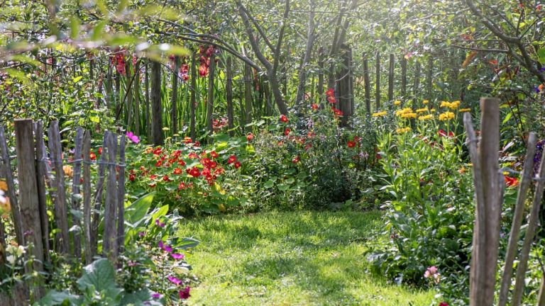 Les jardiniers professionnels révèlent même qu’ils éprouvent parfois la culpabilité du jardin – voici 7 façons de vaincre le besoin d’un jardin «parfait» Les jardiniers professionnels révèlent même qu'ils éprouvent parfois la culpabilité du jardin - voici 7 façons de vaincre le besoin d'un jardin «parfait»
