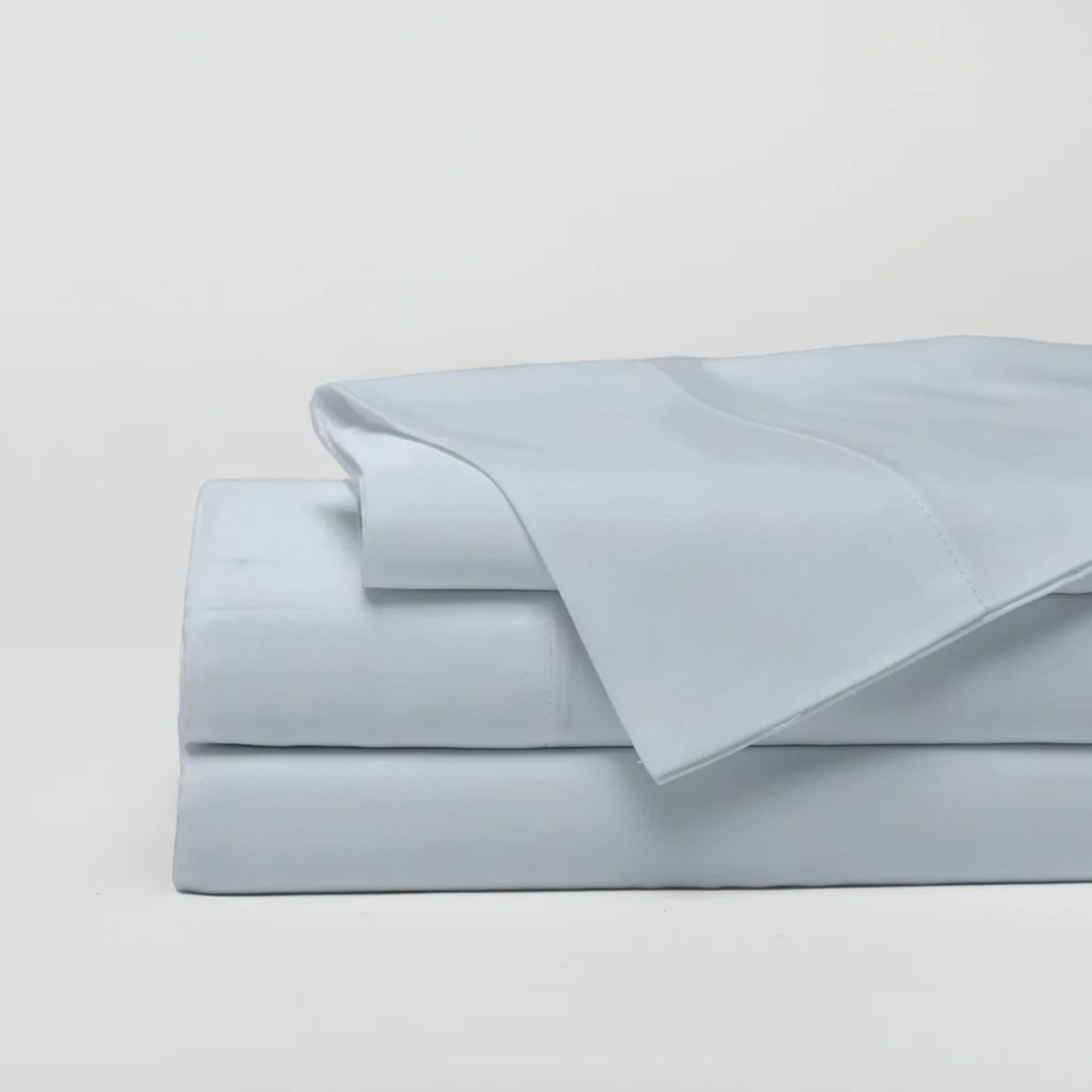 Feuille de bambou à la terre confortable réglée sur le rivage sur un fond gris.