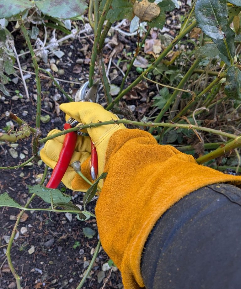 Gants de jardinage expliqués – les experts expliquent les 5 principaux types de gants de jardinage et révèlent la paire supérieure que tout le monde devrait utiliser Gants de jardinage expliqués - les experts expliquent les 5 principaux types de gants de jardinage et révèlent la paire supérieure que tout le monde devrait utiliser